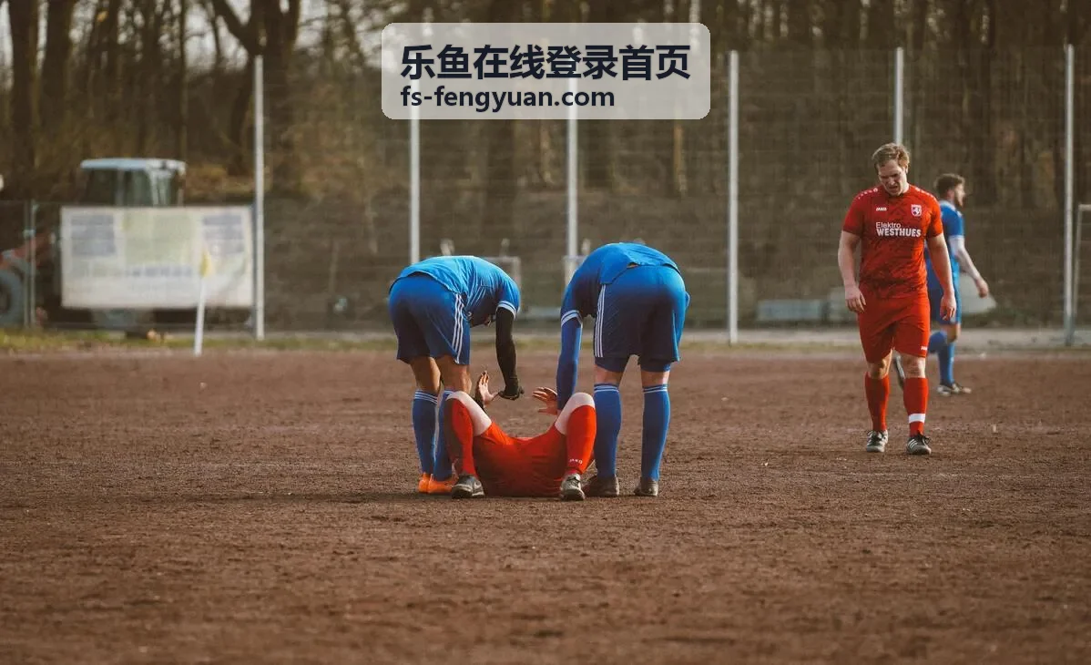 乐鱼在线登录首页 - 玩法盘点配图